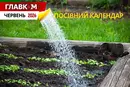 Посівний календар на червень 2026: час активного догляду, повторних посівів та боротьби за майбутній врожай