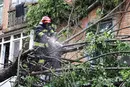 Негода наробила лиха у низці областей: рятувальники показали наслідки