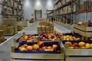 Росія заборонила ввезення фруктів та овочів з Вірменії