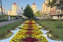 День Києва 2026: як святкуватиме столиця в умовах воєнного стану 