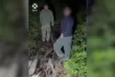 У Карпатах киянин намагався втекти до Румунії, але зустрів розлючену ведмедицю