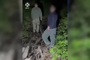 Ведмедиця зупинила порушника кордону 