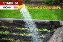 Посевной календарь на июнь 2026 года: время активного ухода, повторных посевов и борьбы за будущий урожай