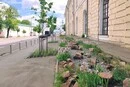 Біля Мистецького Арсеналу в Києві з'явився дощовий садок: як він працює