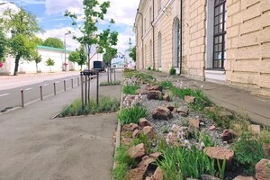 Для створення композиції комунальники висадили понад тисячу рослин різних текстур і висот