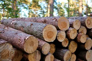 Для оформлення допомоги необхідно подати заяву