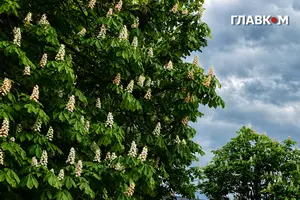 3 червня на Правобережжі України очікуються дощі, місцями значні