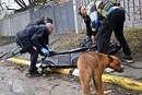 Ідентифіковано російського снайпера, який у Бучі застрелив чоловіка, коли той годував собаку