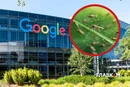 Компанія Google планує випустити у США 32 млн заражених комарів: деталі