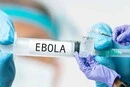 Медики не встигають: ВООЗ заявляє про поширення смертоносного вірусу Ебола