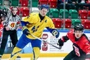 Два хокеїсти збірної України посилять відомий польський клуб