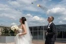 Момент збиття «Шахеда» випадково потрапив на весільне відео у Запоріжжі