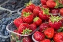  У Києві на вихідних 13-14 червня відбудуться продовольчі ярмарки (адреси)