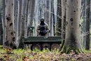 213 боїв за добу: лінія фронту станом на 8 червня 2026
