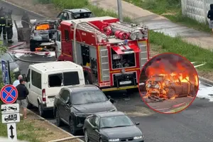 Водій отримав численні поранення, від яких помер на місці події