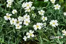 Карпати накриють зливи, у Києві до 28°: погода на 11 червня 2026 року