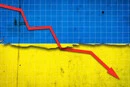 Валютні обмеження збільшують витрати бізнесу та стримують інвестиції – експертка