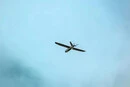 Мер Москви пожалівся на атаку дронів