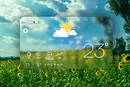 Прогноз погоди на тиждень 15 – 21 червня 2026 року