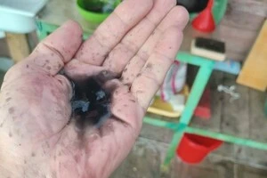 Жителі Рибінська активно публікують фото та відео незвичних опадів чорного кольору 