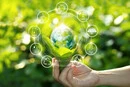 Україна офіційно затвердила кліматичну стратегію до 2050 року: що відомо