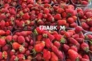 У Києві на вихідних 20-21 травня відбудуться продовольчі ярмарки (адреси)