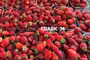 На ярмарках можна закупитися свіжими овочами, фруктами та м'ясом за помірними цінами