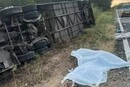Семеро юних баскетболістів загинули внаслідок ДТП у Бразилії