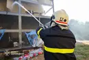 Окупанти вдарили по зоопарку в Харкові, загинули тварини (фото)