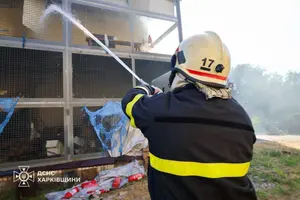 На території зоопарку спалахнула пожежа у вольєрі