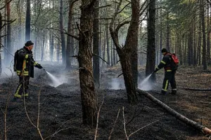 Через сильні пориви вітру займання поширилося на площу близько 25 га