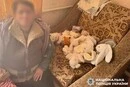 Суд на Рівненщині покарав жінку, яка вкрала іграшки з могили дитини (фото)