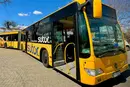 В Одесі у розпал літнього сезону подорожчає проїзд у маршрутках: названо ціну