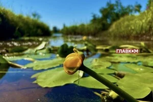 В Україні мінлива хмарність
