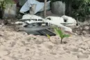 Море винесло на турецький пляж невідомий дрон 