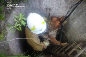 На Обухівщині рятувальники дістали собаку з глибокого колодязя 