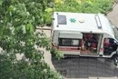 У Деснянському районі столиці бійцівський пес напав на перехожу