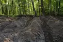 Експедиція у Пужниках завершила пошуки: масового поховання не виявили