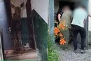 У Києві лось зайшов до під’їзду багатоповерхівки (відео)
