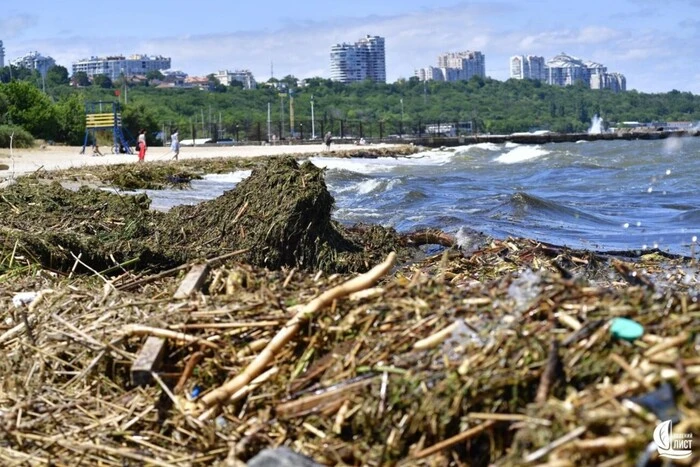 Науковець пояснив, як Чорне море швидко віновилося після підриву Каховської ГЕС