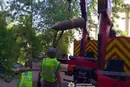 Бойова частина ракети впала поблизу столичної багатоповерхівки (фото)