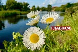 В Україні сонячно
