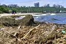 Ученый объяснил, как Черное море быстро восстановилось после подрыва Каховской ГЭС