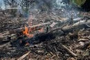 1 липня у Києві очікується високий рівень пожежної небезпеки