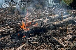 У лісових масивах Чорнобильської зони тривають пожежі