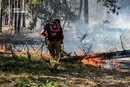 Пожежа у Чорнобильській зоні: рятувальники виявили нове задимлення (фото)