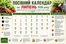 Посівний календар на липень 2026 року: що сіяти, коли доглядати за рослинами та які роботи провести на городі
