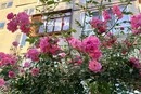Спека та зливи. Синоптики розповіли, яким виявився перший місяць літа в столиці