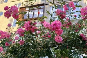 Від 7 до майже 33 градусів: обсерваторія Срезневського назвала найхолодніший та найспекотніший дні червня у Києві