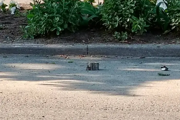 ...
